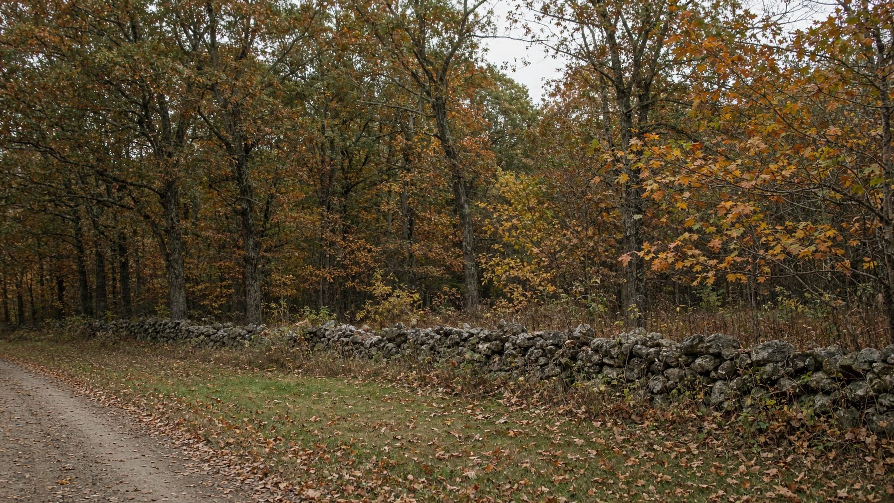 Wooded lot in fall color behind an old fieldstone wall along a dirt road